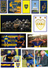 Sticker Vinilo/holografico Boca Jrs Termo, Celular, Pc 2