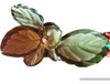 Calathea Pinturata Argentea 0