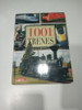 Libro 1001 Trenes 0