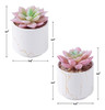 Zenmag Fake Succulents, Mini Succulents Plants Artificial In 2