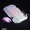 Havit Rainbow Backlit Wired Keyboard And Mouse Combo (blanco 2
