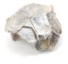 Piedra Mica Moscovita Natural En Bruto. Art517 2