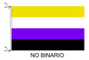 Bandera No Binario No Bianrie Lgbt 90 X 60cm 2