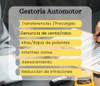 Gestoria Automotor 0