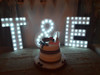 Alquiler Letras  Polifan 56 Cm Con Luces 1 Alquiler Letras  Polifan 56 Cm Con Luces 1