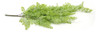 Ramo Colgante Artificial Tree Darwing 3