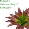 Plantas Suculentas Artificiales, Agusbagli Grandes Flores 3