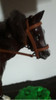 Caballo Articulado De Los Temerarios 2