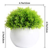 Feilanduo Mini Plantas Artificiales Macetas Pequeñas Plantas 1