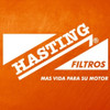 Filtro Combustible Hasting P5070 Equiv. Bf940 Bf7683 P550127 2