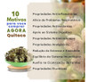 Chá De Ervas De Quitoco Próprio Para Chá 30g 2