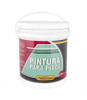 Pintura De Piso Multiproposito Asfalkote 4kg - Ynter Industr 0