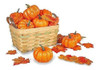12 Calabazas Artificiales Decorativas 0