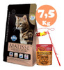 Matisse Gato Adulto Castrado Salmon 7.5 Kg + Regalo 3