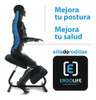 Silla Ergonomica Pc Correctora Postural Envio Gratis C.a.b.a 0