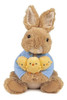 Gund Beatrix Potter Peter Rabbit Holding Chicks - 0