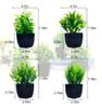 Greentime Paquete 4 Plantas Falsas Maceta Negra, Mini Planta 1