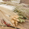 ~? Simetufy 43pcs Natural Pampas Grass Decor Flores Secas Pa 3