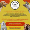 Alimento Biofresh Super Premium Castrados Para Gato 1,5kg 2 Alimento Biofresh Super Premium Castrados Para Gato 1,5kg 2