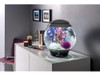 Biorb 460800 Kelp Set Medium Purple Aquariums 2
