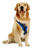 Cómodo Gato Perro Mascotas Seguridad Cinturón De Seguridad P 0 Cómodo Gato Perro Mascotas Seguridad Cinturón De Seguridad P 0