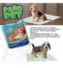 Alfombra Sanitaria Mini Desechable Mascotas X 60 Ud Paño Pet 2