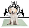 Alfombra Sanitaria Mini Desechable Mascotas X 60 Ud Paño Pet 5