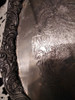 Bandeja Tallada De Platina 1