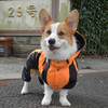 Ropa Para Mascotas Ropa Para Perros Ropa De Lluvia Abrigos D 3