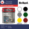 Brikol Pisos Alto Transito Verde X 1l - Caporaso 1