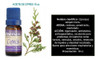 Aceite Esencial De Ciprés 10 C.c. 1