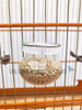 Bebedouros E Comedouro De Vidro Para Pássaros ( Porta Larva ) Coleiro, Canário, Curió, Pixarro Todas As Aves Kit 10 Uni 1 Bebedouros E Comedouro De Vidro Para Pássaros ( Porta Larva ) Coleiro, Canário, Curió, Pixarro Todas As Aves Kit 10 Uni 1