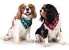 Odi Style Pañuelos Para Perros De Acción De Gracias - Paquet 5