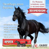 Hipofen Pasta Oral 20 Gr | Vermífugo Para Equinos 1