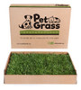 Petgrass Mediano. El Jardín De Tu Mascota En Una Caja! 0