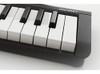 Amplificador De Teclado Korg, 37 Teclas (microkey237) 1