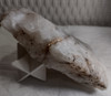 Cuarzo Blanco Triangular( 17cm, 765grs) 5