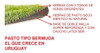 Pasto Artificial Modular 1