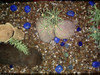 Pecera. Oportunidad. No Incluye Decoración. 4