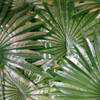 Planta Artificial Palmeira Leque Verde Sem Vaso De Decoração 2