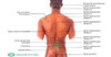 Curso De Esteticista Modalidad A Distancia 1