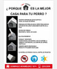 Mercado Instalador Casa Grande Para Perro 3