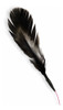 Pluma Juguete Para Gatos / Mascotas 1