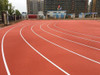 Pista De Atletismo 2