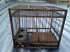 N.9- Jaula Para Pajaro En Madera 20,4 X 14,2 X 17,5 Alto 2
