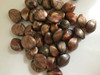 Piedras Importadas Gemas 35mm Armador Bijou Deco Merceria 1