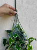 Jardín Vertical Planta Colgante Artificial Hiedra  105 Cms 4