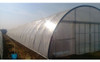 Nylon Invernáculo Alta Calidad 8,4m X 5 Metros X 150 Micras 4