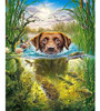 Pintura Por Diamantes Poster 5d - Perro Naturaleza 40x50 Cm 0