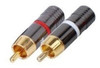 Ficha Rca Parquer Cuota 1